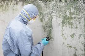 Mold Remediation for Vacation Homes in Derby, KS